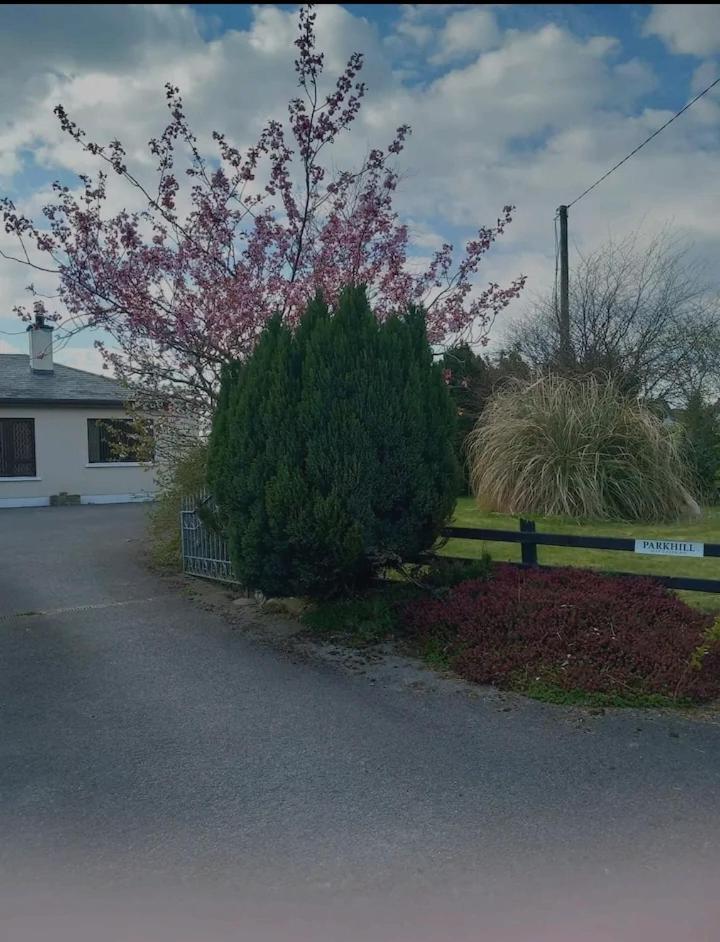 Parkhill House Self Catering Apartment Ballyshannon ภายนอก รูปภาพ